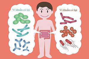 Bacillus subtilis- Chủng men “khỏe mạnh” nhất trong đường ruột!