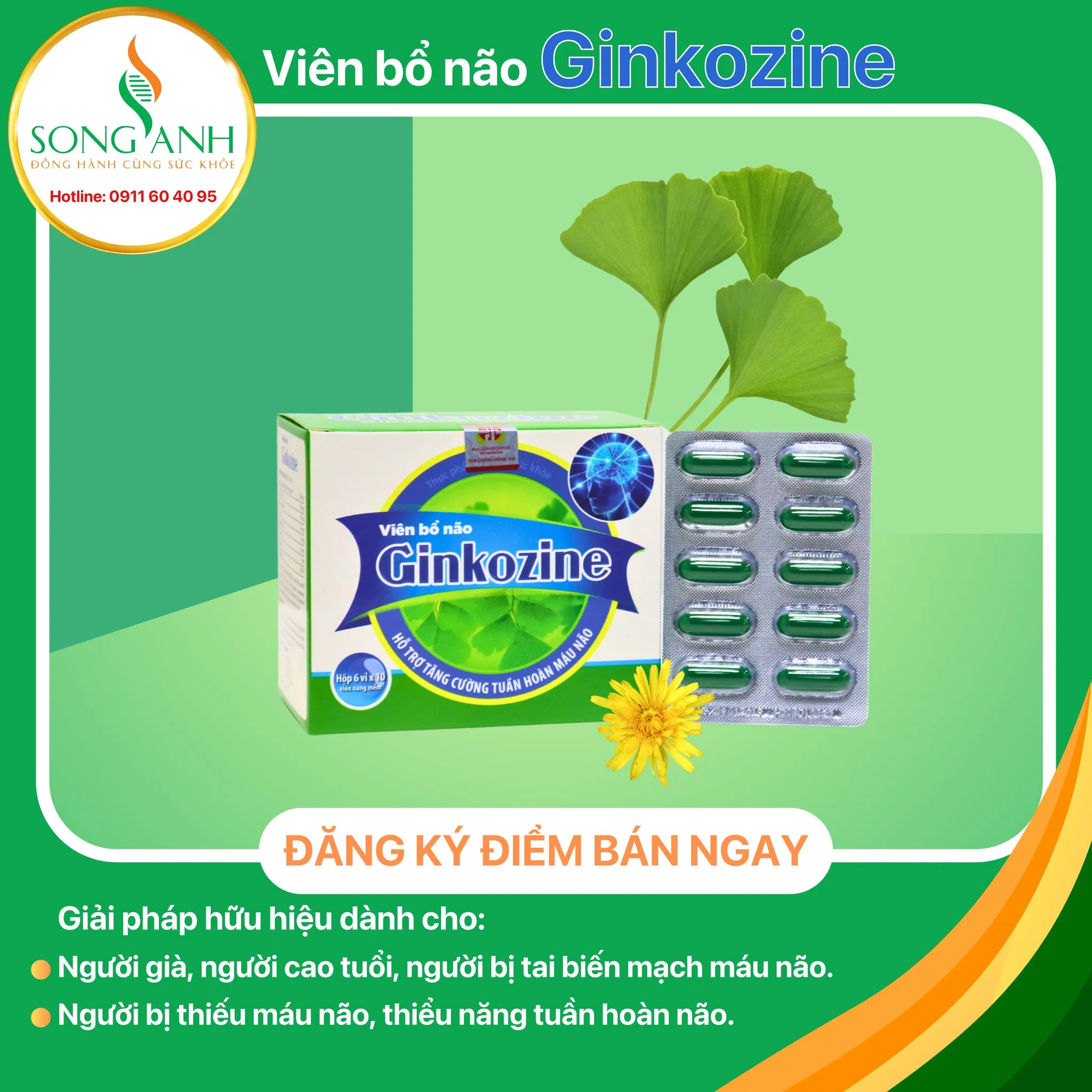 Viên uống bổ não Ginkozine